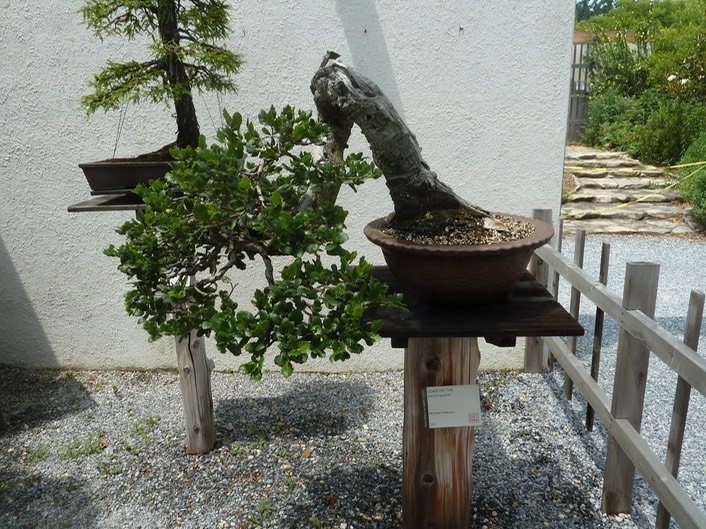 P1060052
