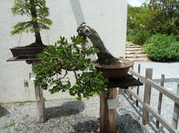 P1060053