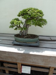 P1060058