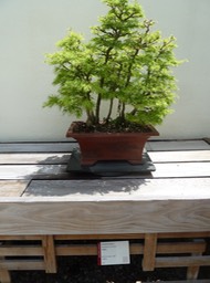 P1060059