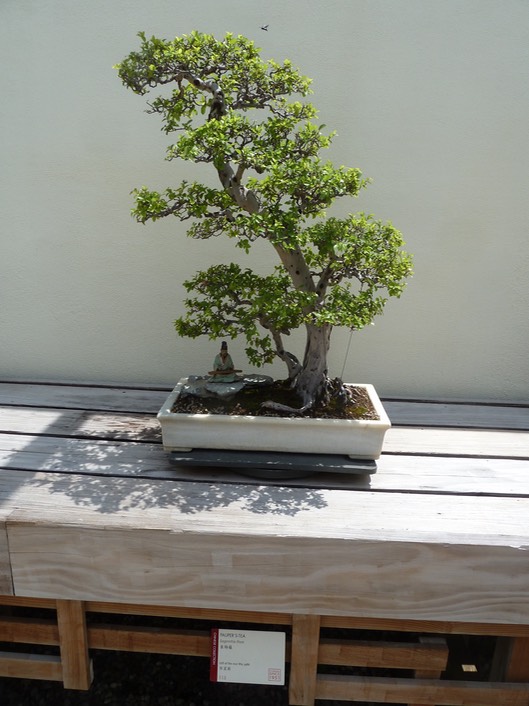 P1060060
