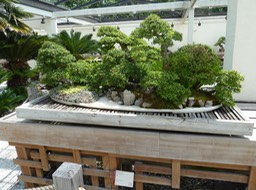 P1060062