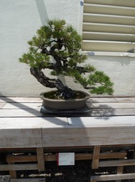 P1060064