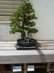 P1060065