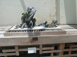 P1060066