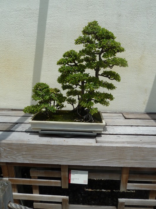 P1060069