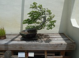 P1060072