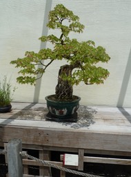 P1060073
