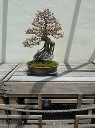 P1060074