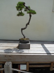 P1060078