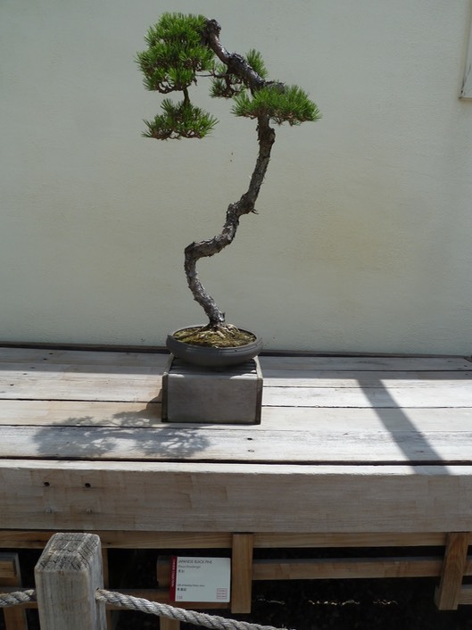 P1060078