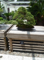 P1060079