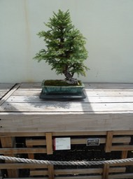 P1060084
