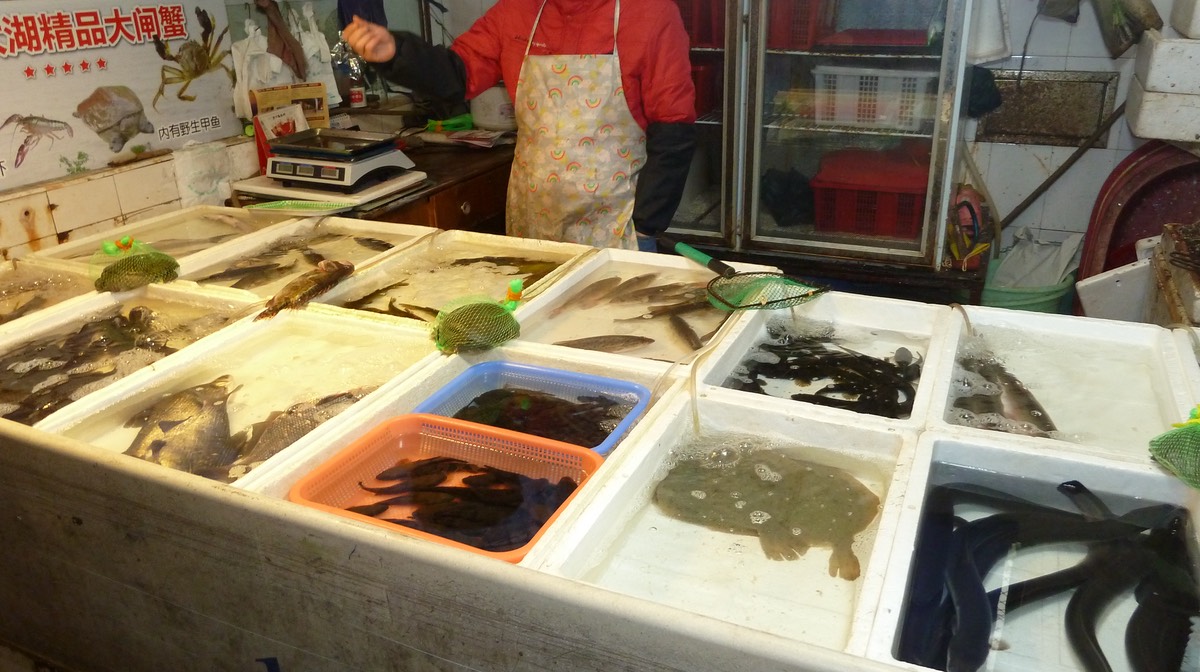 Sea Food P1020107